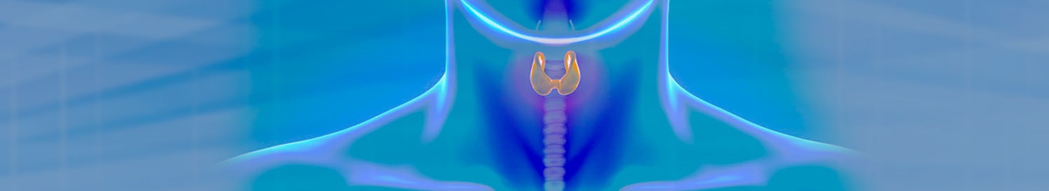 Endocrinologia